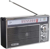 Imagen de Radio AM/FM Corriente y Pilas SN-1201