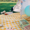 Imagen de Manta de Picnic Plegable Oxford 1 x 1.5 mt Colores