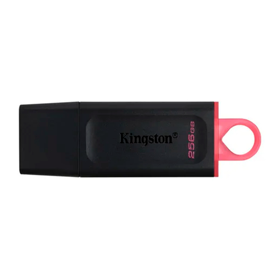 Imagen de Pen Drive 256GB Kingston
