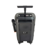 Imagen de Parlante Bluetooth 12 Pulgadas Mic & Control L1203 Kolav